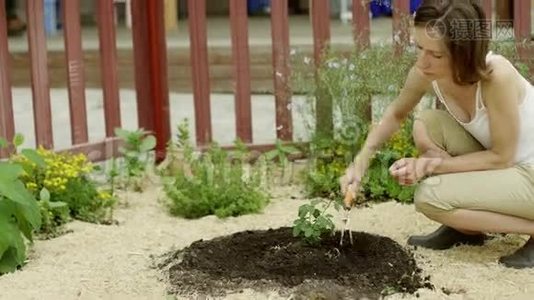 关心植物的女人视频