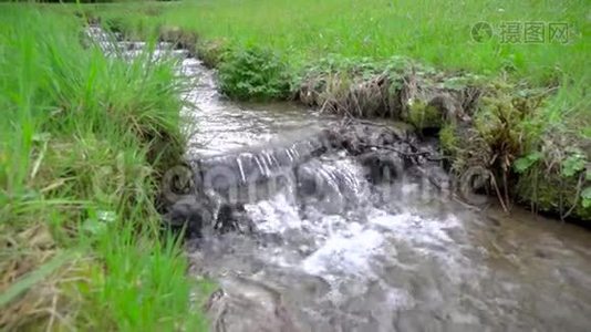 春天美丽的大自然，清新的水流在草地之间缓慢流动视频