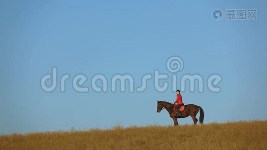 女孩骑着马飞奔。 慢动作视频