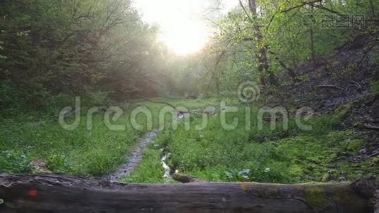 泥泞的道路在农村小路的森林与小溪。视频