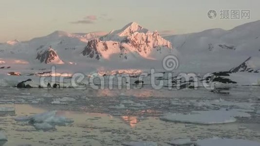 南极半岛在夕阳照射下的山脉和冰川视频