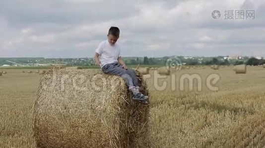 孩子在一片田野上对抗稻草视频