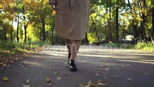 穿着时髦黑色靴子、外套或壕沟在秋天公园散步的女人的腿视频