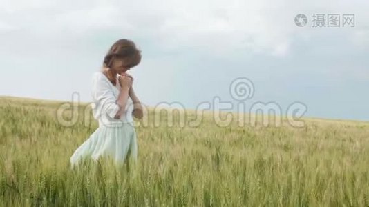 一个年轻的女孩在麦田里祈祷，一个女人在玉米穗中享受大自然，感谢上帝，一个宗教和节日的概念视频