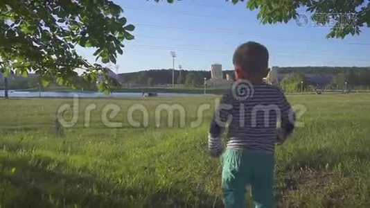 孩子从草地上的摄像机跑出来。 小男孩在城市公园里的一棵新鲜的草地上迈出了第一步。 背面视频