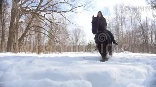 白雪皑皑的森林。 一个女人在雪地上骑着黑马视频