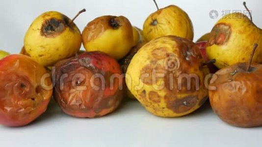 雌性手拿一个腐烂，变质，成熟的苹果，放一个新鲜成熟的大红苹果。视频