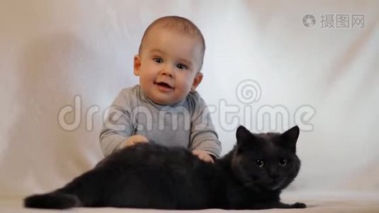 慢镜头拍摄一个小男孩和一只猫坐在沙发上的肖像。 孩子和猫的友谊..视频