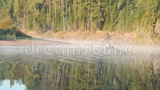 一艘充气摩托艇上的渔夫游到河岸。 秋林中的背景..视频
