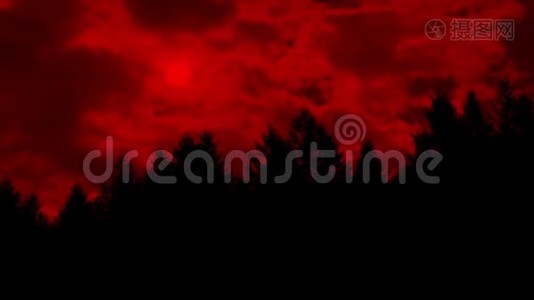 红日在森林上方的云层中发光视频