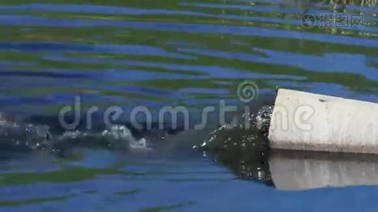 从管道流出到湖泊视频