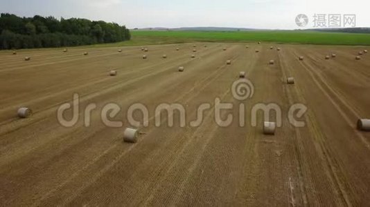 稻草收获田间农业耕作广场秋秋秋空中摄影视频