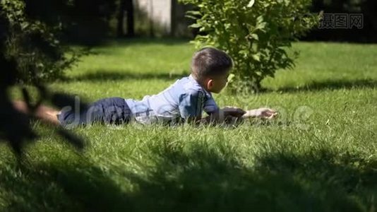 一个男孩正在草地上的公园里和一只小狗玩耍，白天天气晴朗，心情很好视频