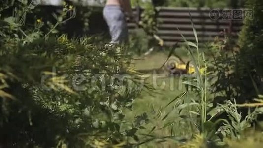 一个胖秃头，光着光着上身用黄色割草机修剪草坪。 关注前景中的叶子视频