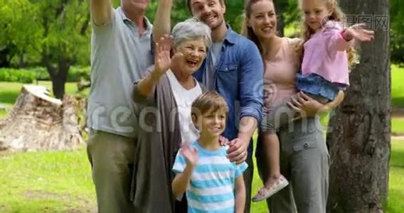 多代家庭在公园里对镜头摆姿势和挥手视频