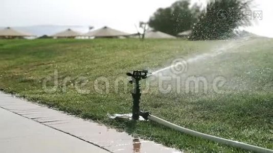 喷灌系统。 早上给草坪浇水视频