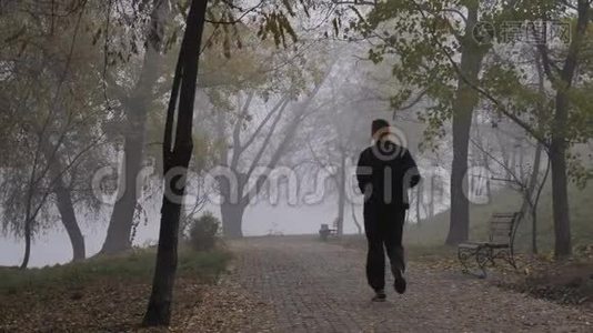 男人在雾蒙蒙的秋晨跑公园视频