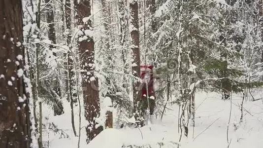桑塔克劳斯在冬天的森林里向你跑来。 慢动作视频