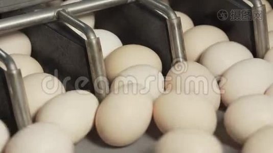 鲜蛋分级分拣机.. 工厂鸡蛋生产..视频