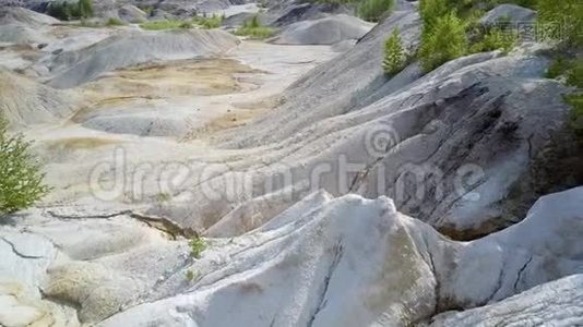 陡峭的峡谷形成在老泥土坑与稀有植物视频