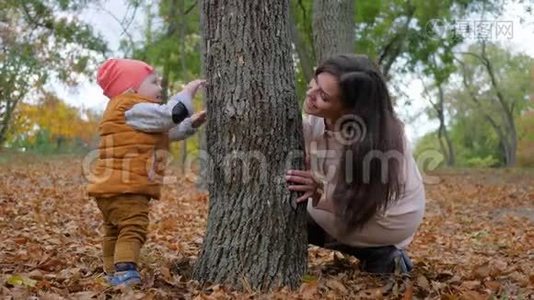 家庭游戏，年轻女子和小男孩在秋天公园的树旁玩捉迷藏视频
