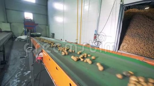 两个带土豆的传送带在工厂工作，关闭。视频