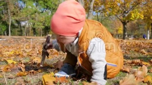 好奇的孩子，手里拿着木棍，在公园里秋天，坐在草坪上，有黄叶视频