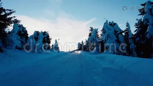 捷克山区冬天下雪的树木。视频