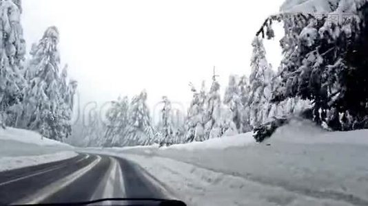 从车上看到白雪树之间的路视频