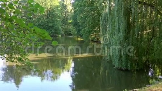 太阳景观。 夏日的湖面上.. 公园里的湖视频