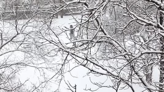 冬天，人们沿着一条下雪的城市街道散步。 从白雪覆盖的树枝上俯视。视频