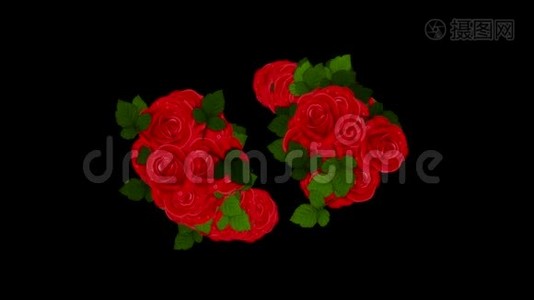 红玫瑰和树叶动画背景爆炸。 包括阿尔法频道。视频