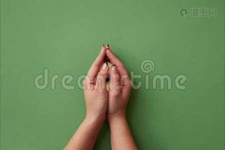 女人的手打开看上去嫩嫩的格伯拉，从绿色背景上的花朵上形成一个心的象征。视频