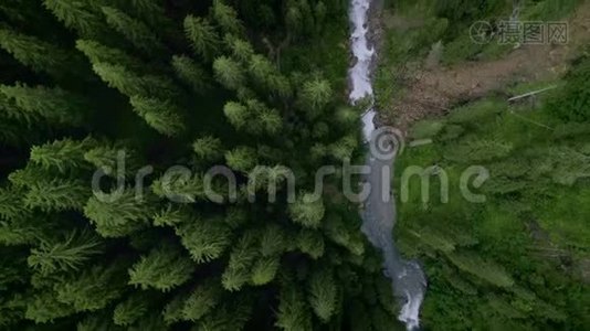 林中山河或溪流的鸟瞰图视频