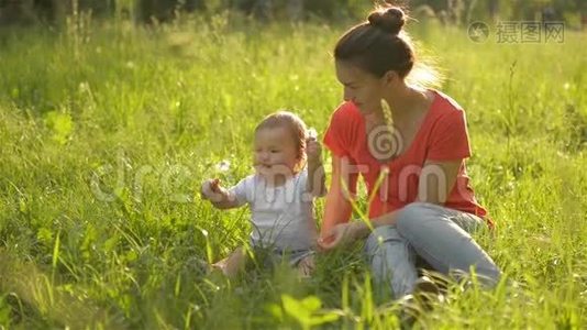 美丽的母亲在公园里和她的小女儿玩耍，吹蒲公英视频