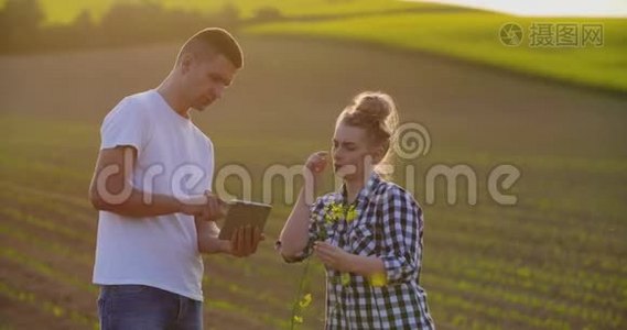 用数字平板分析农场油菜植物的研究人员视频