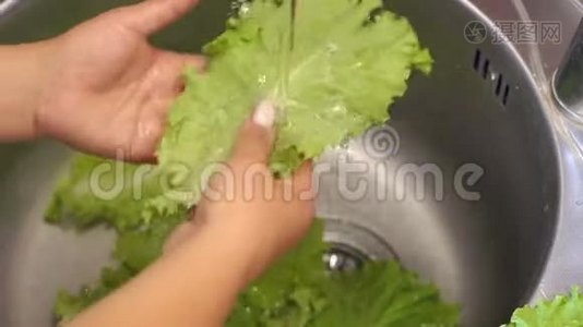 一位年轻女子在家中的厨房洗手池里洗新鲜生菜。视频
