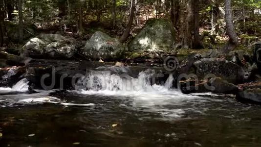 缓慢的运动小瀑布，橙色的叶子从树木中飘落到溪流中视频
