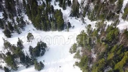 人们在冬季森林的雪坡上滑雪，鸟瞰。 录像。 冬季假期最高视野视频