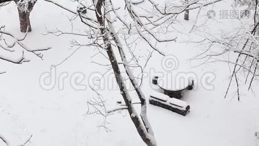 在一个有白雪覆盖的树木的冬季公园里，一张降雪下的小木桌。视频