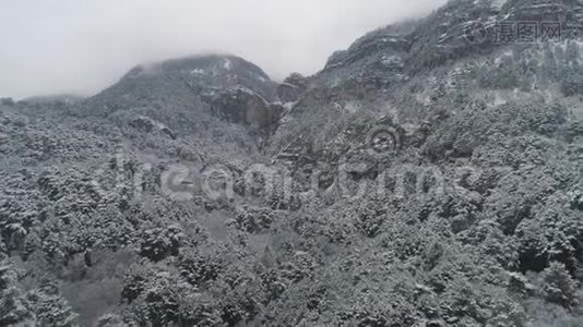 冬雪覆盖的浓雾中针叶林和山坡景观。 中枪。 冬季景观视频