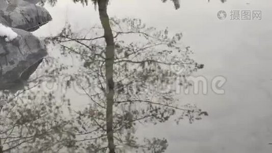 冬季水坑中树木和天空的抽象反射。 在浅水湖的底部看到石头。 4K视频
