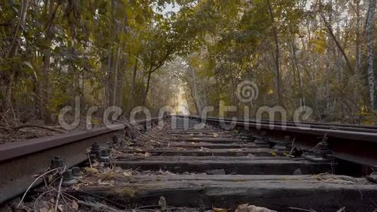 德国柏林森林中废弃的铁路轨道视频