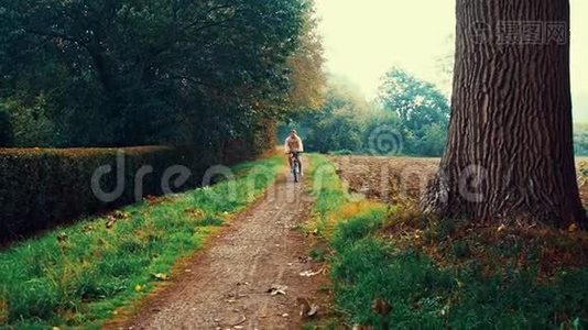 人们在秋天公园的小径上骑自行车。 森林，悲伤的心情，移动的照相机视频