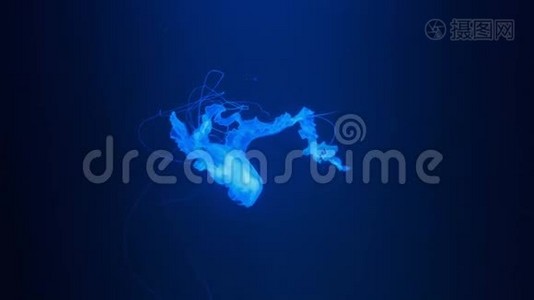 一只发光的蓝色水母，慢慢地漂浮在黑暗的水族馆水中，这是一种缓慢的运动放松的观赏背景视频