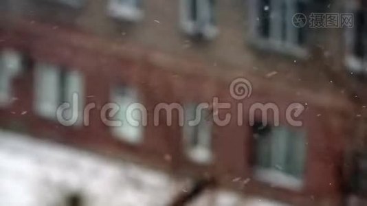 在城里下雪。 模糊的建筑背景。 选择性重点视频