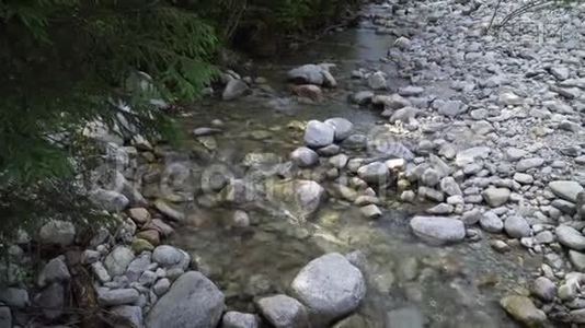 河流中的水流视频