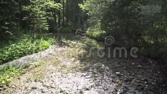 河流中的水流视频