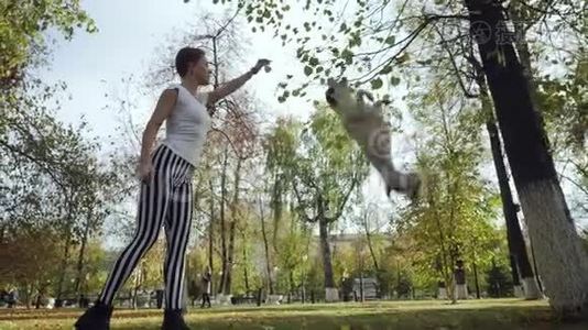 年轻女子在公园里训练黑白狗杖。视频