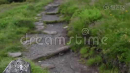 徒步旅行者与潘一起攀登岩石小径视频